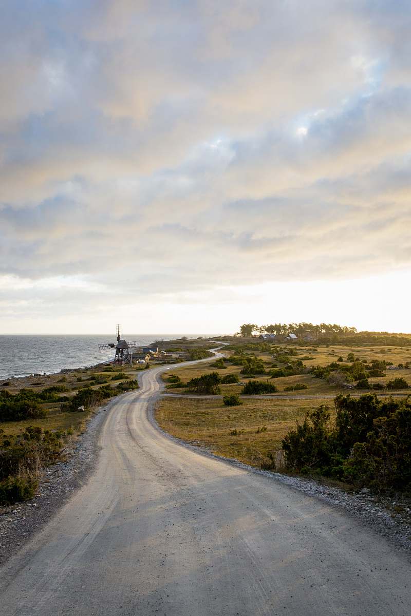 dirt road curved road surrounded by grass lawn gravel
